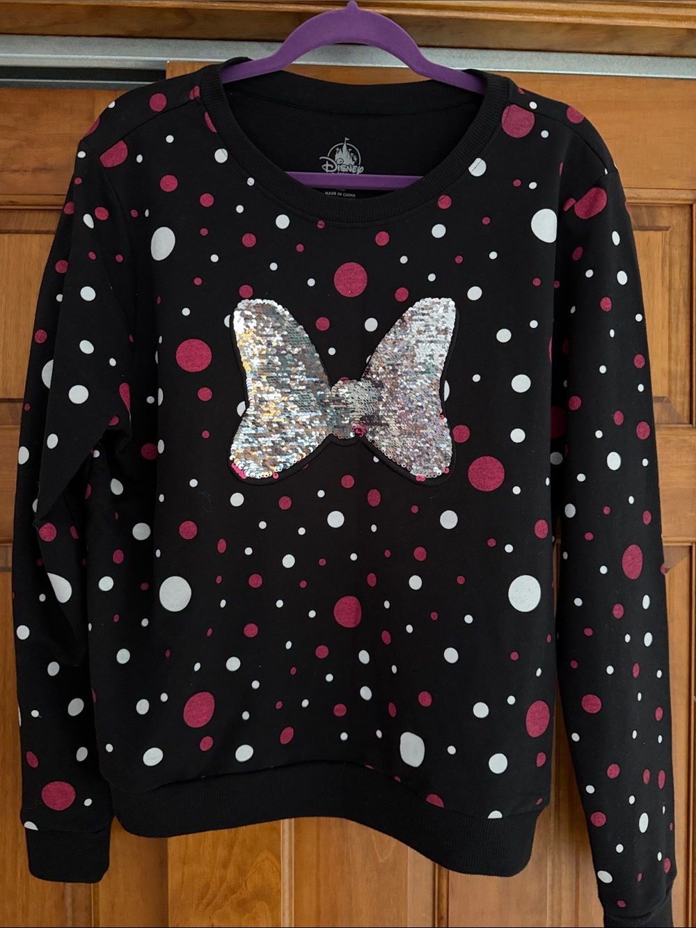 Disney Parks Sweatshirt
